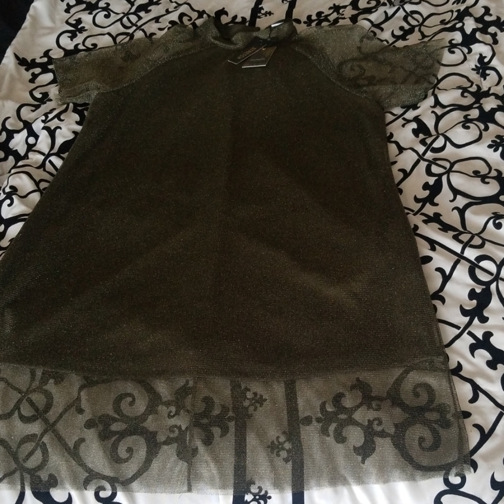 NWT Sheer dress
